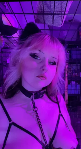 Aisling Moth