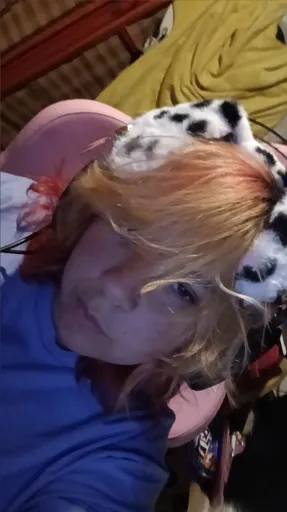 dog 🦴