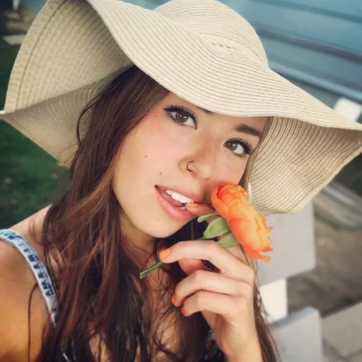 Brandibraidsvipfans