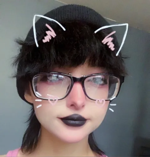 Kitten