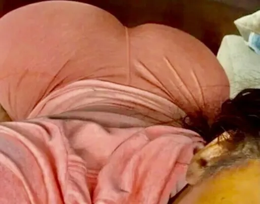 Cmissbooty