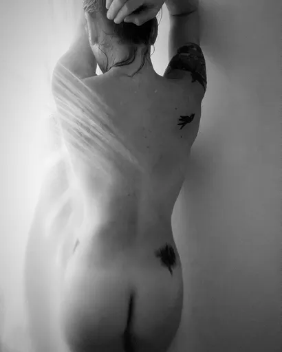 Silky Vixen