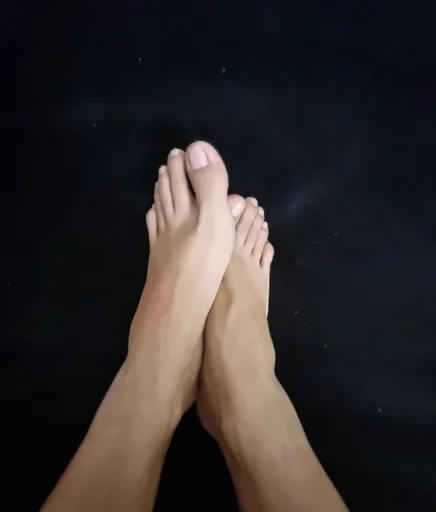 DiosaCatX