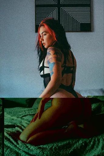 Fenixsun