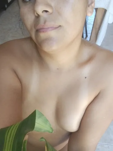 flor de loto