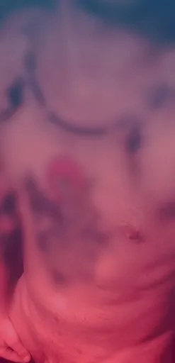 Gazed-FREE