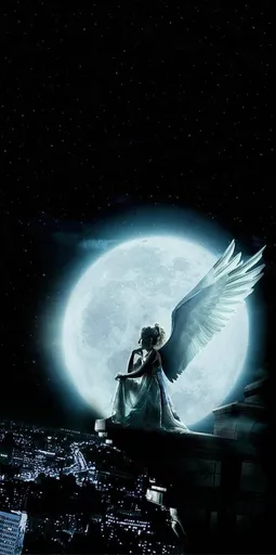 Night Angel