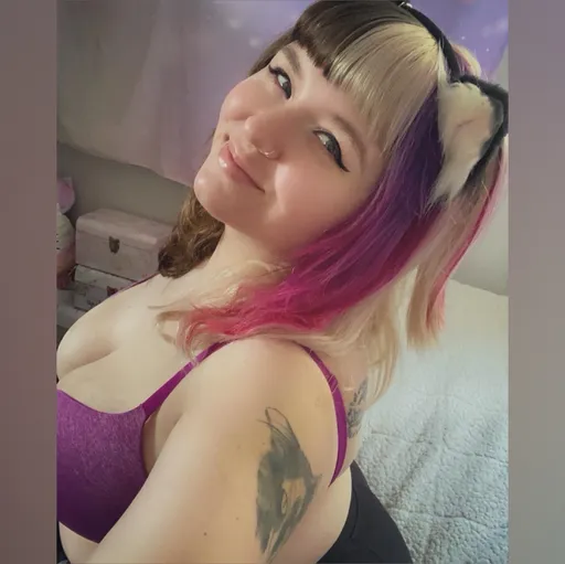 Kittykat4u 🐱