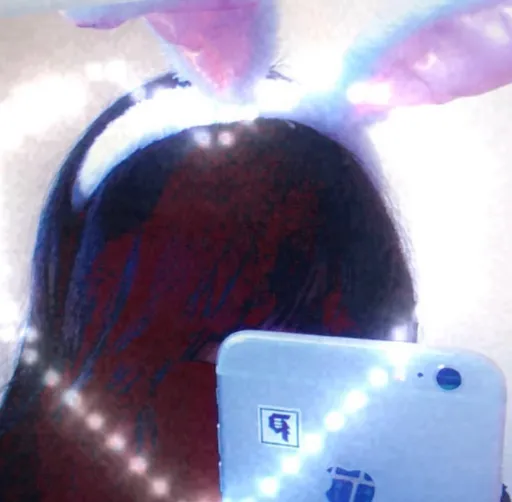 Latinabunny