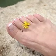 Rosaura Ferrer
