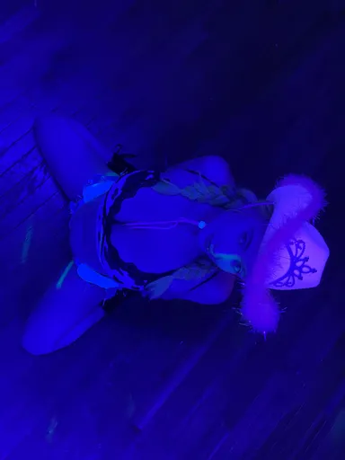 beanie baby