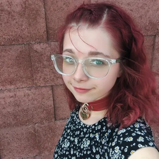 Lilpirahna