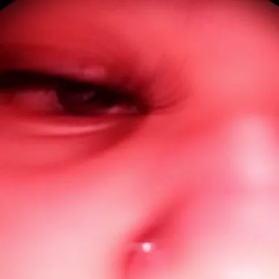 $ilentsBitch