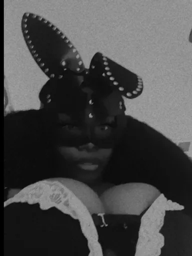 Ava Kitten
