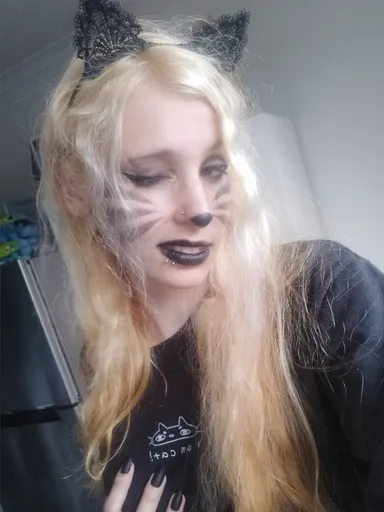 MidnightMeow