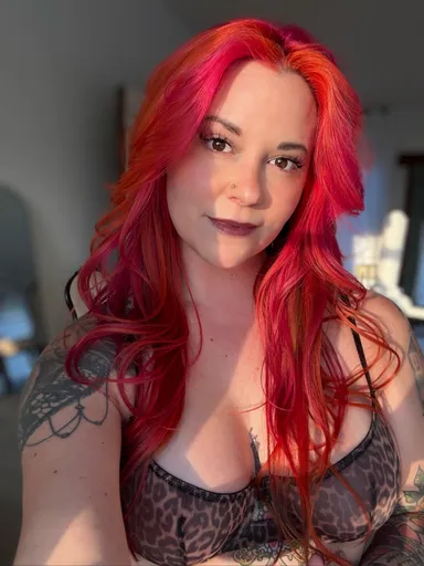 MissMeow