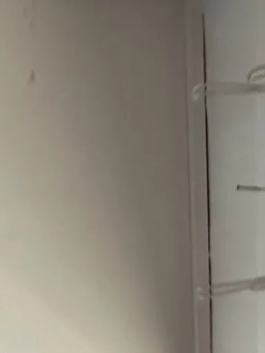 MsMam