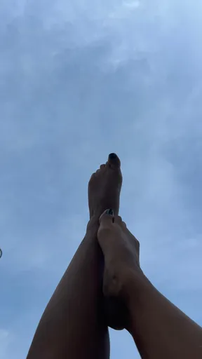 Pies