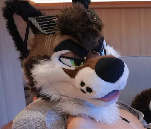 Palacewolf