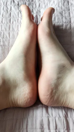 pinkfeet4U