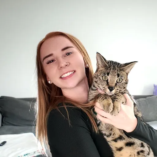 PokeKatt