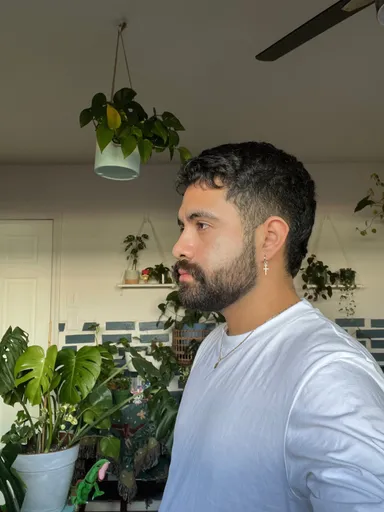 Poket Papi