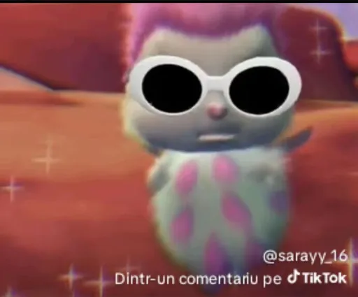 sofikitty