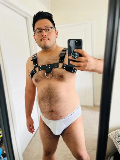 Solgayzr