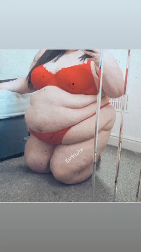 ssbbwbee