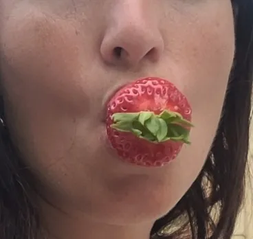 Sugarmamitaa