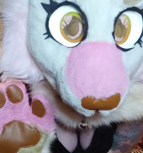 Taffy the Lynx