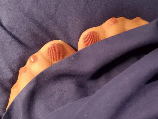 Taylor's Nylons