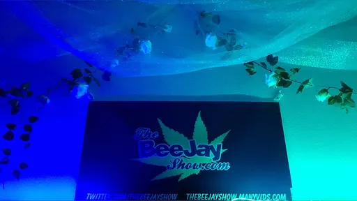 TheBeeJayShowFREE