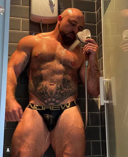 Thebritishbear1