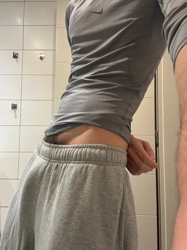 untucked_horse