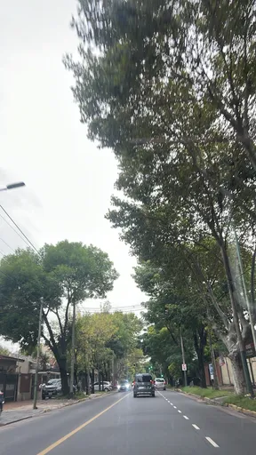 Violeta pa ti