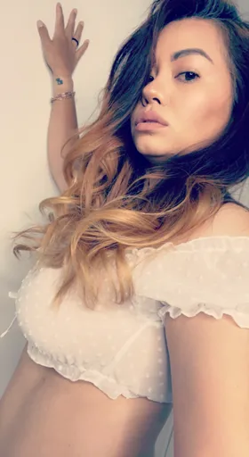 V. Michel