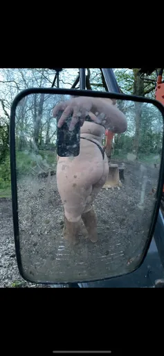 Wildandfrisky
