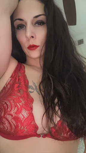 Winter Bella Rose