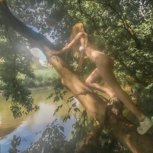 Ivy Wild