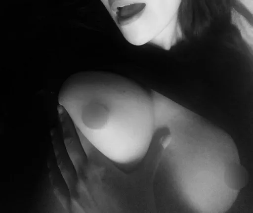 Your_little_fox